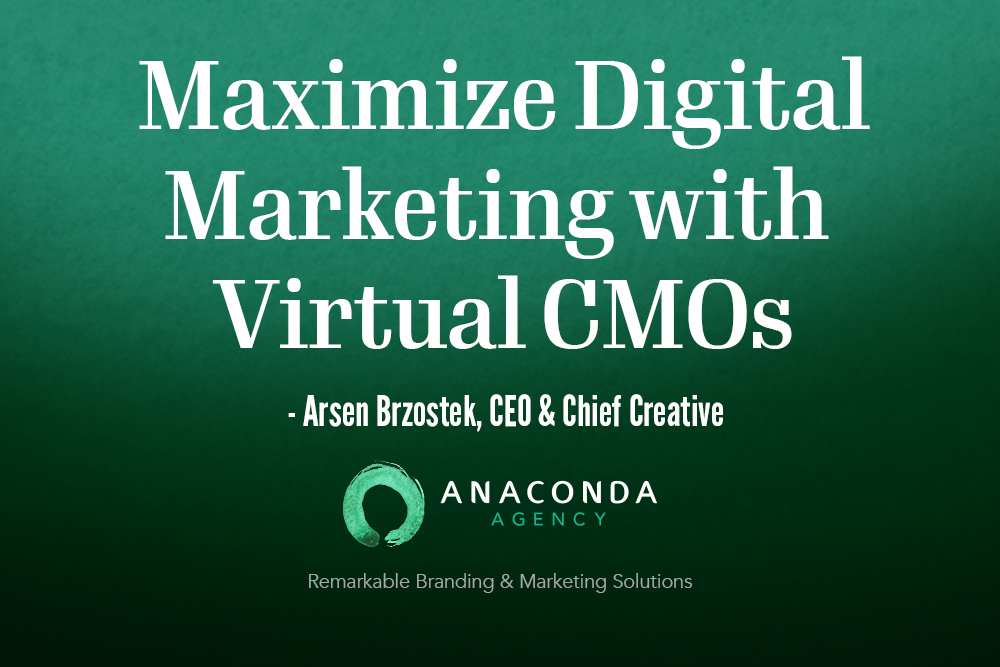 Anaconda Agency Virtual CMO Article
